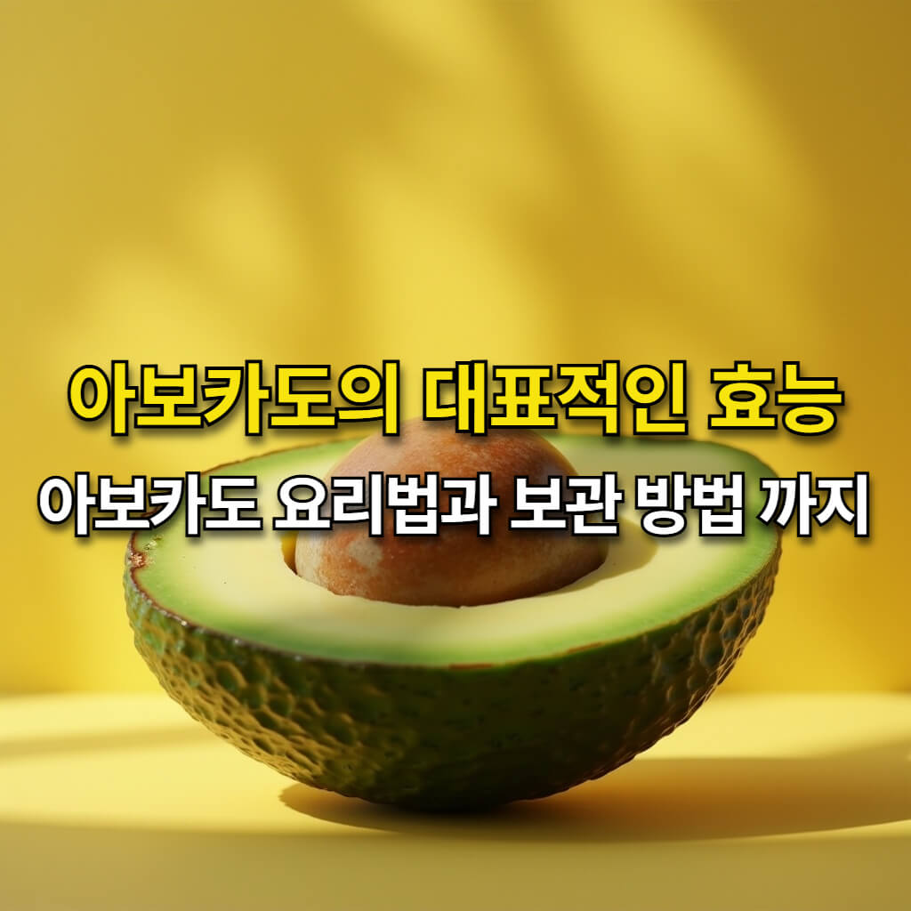 아보카도 효능과 먹는 법 총정리 아보카도 효능과 먹는 법 총정리